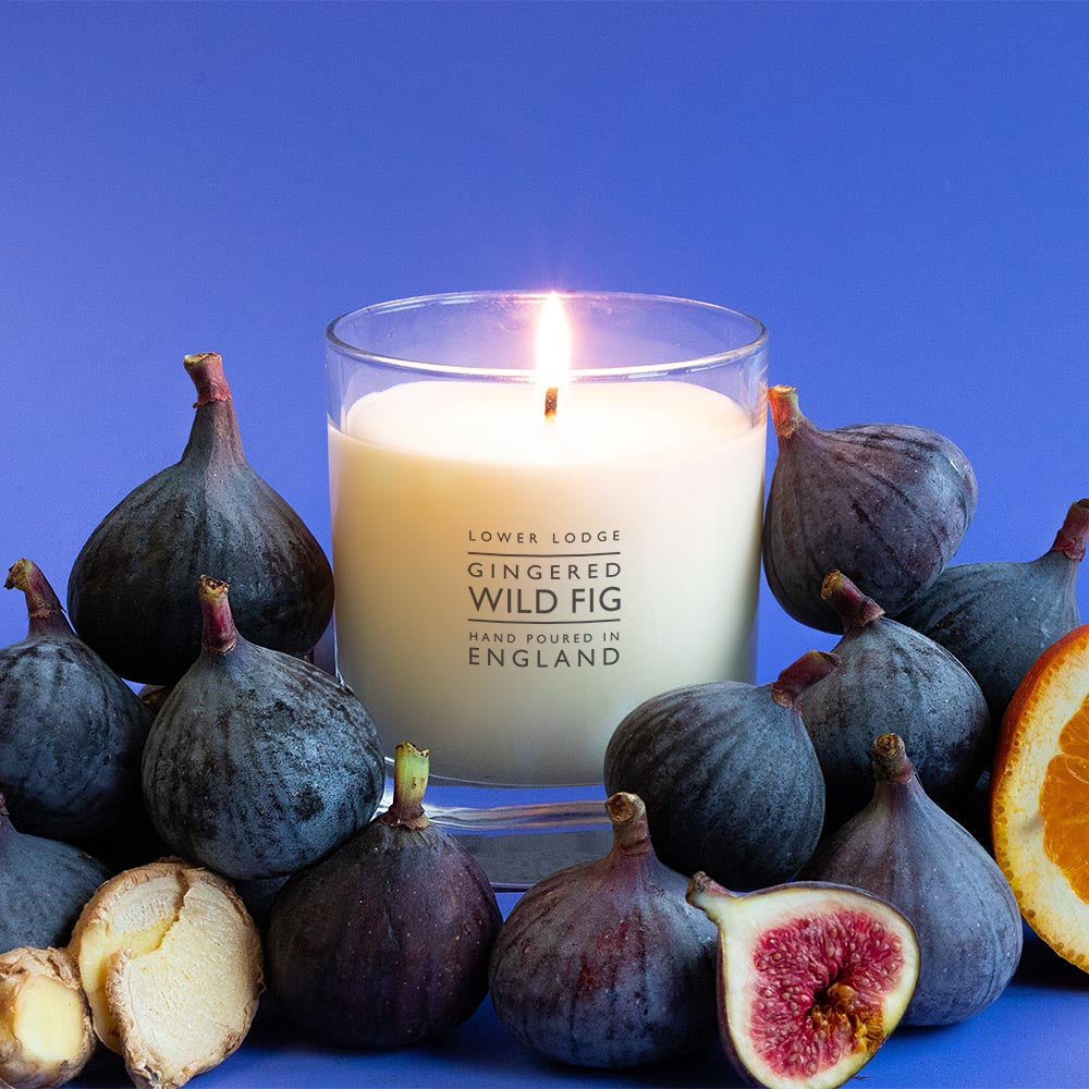 Gingered Wild Fig Home Scented Candle - Essentials - Lower Lodge Candles