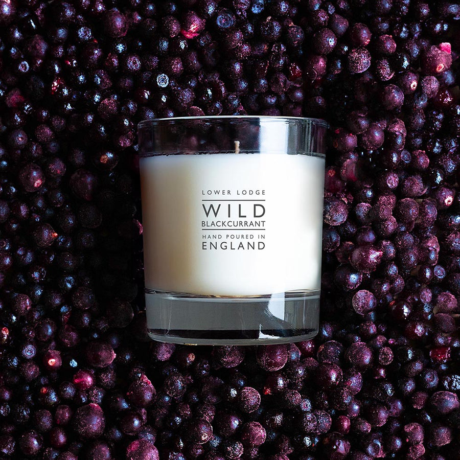 Wild Blackcurrant Home Scented Candle