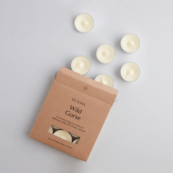 St. Eval Wild Gorse Scented Tealights