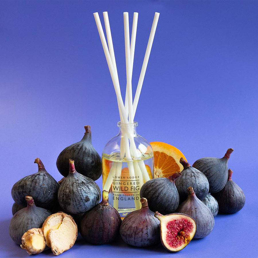 Gingered Wild Fig Scented Reed Diffuser - Essentials - Lower Lodge Candles