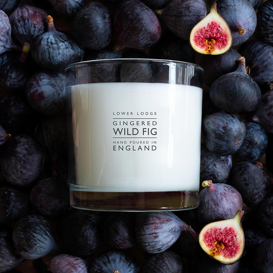 Gingered Wild Fig Deluxe Scented Candle